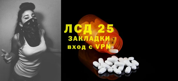 ГАЛЛЮЦИНОГЕННЫЕ ГРИБЫ Краснослободск