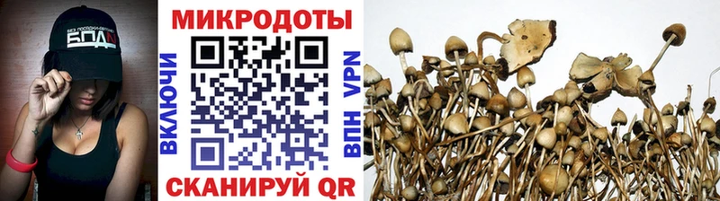 кракен ссылки  Руза  Галлюциногенные грибы MAGIC MUSHROOMS  где найти наркотики 
